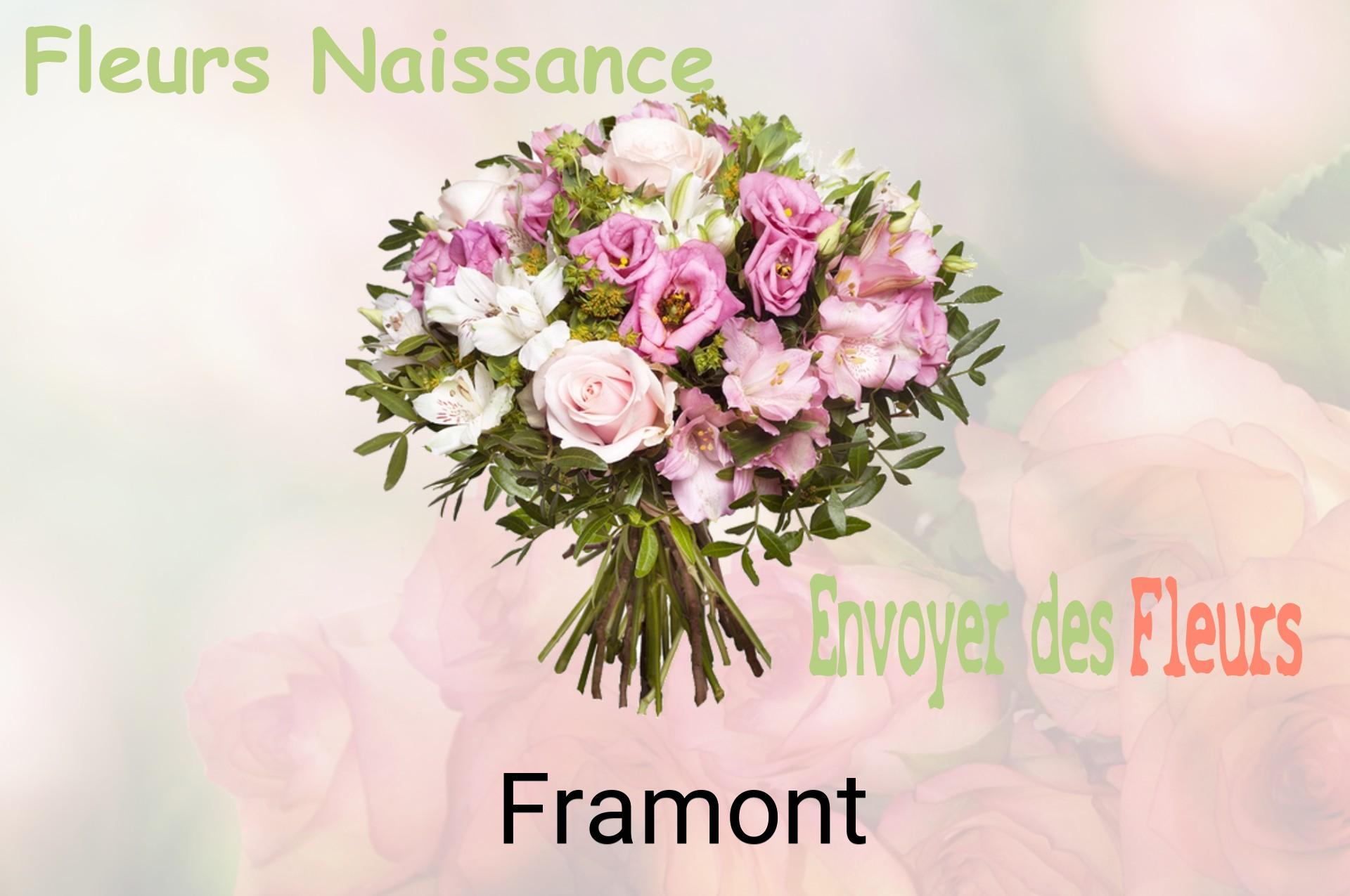 Bouquet de fleurs de naissance livré à Framont